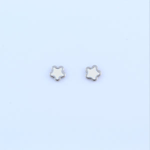 Stainless Steel White Star Earrings