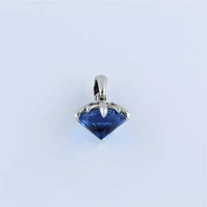 Stainless Steel Blue CZ Claw Set Pendant